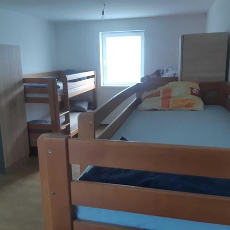 Apartman Novi Sad - Apartment Novi Sad Sremska Kamenica Eksteriør billede