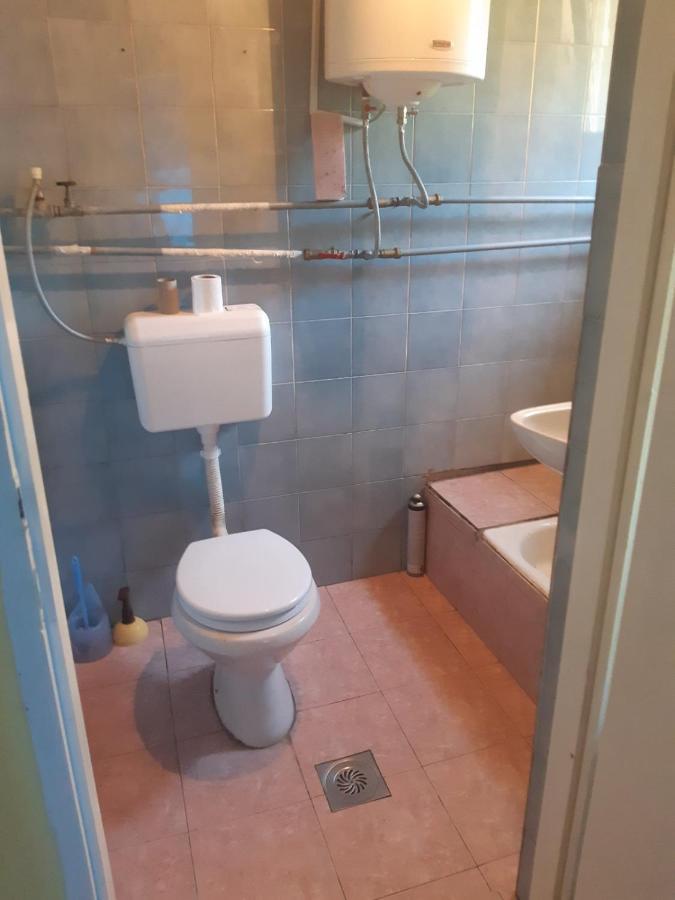 Apartman Novi Sad - Apartment Novi Sad Sremska Kamenica Eksteriør billede