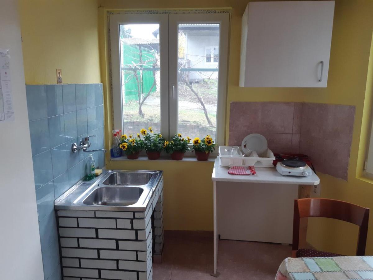 Apartman Novi Sad - Apartment Novi Sad Sremska Kamenica Eksteriør billede